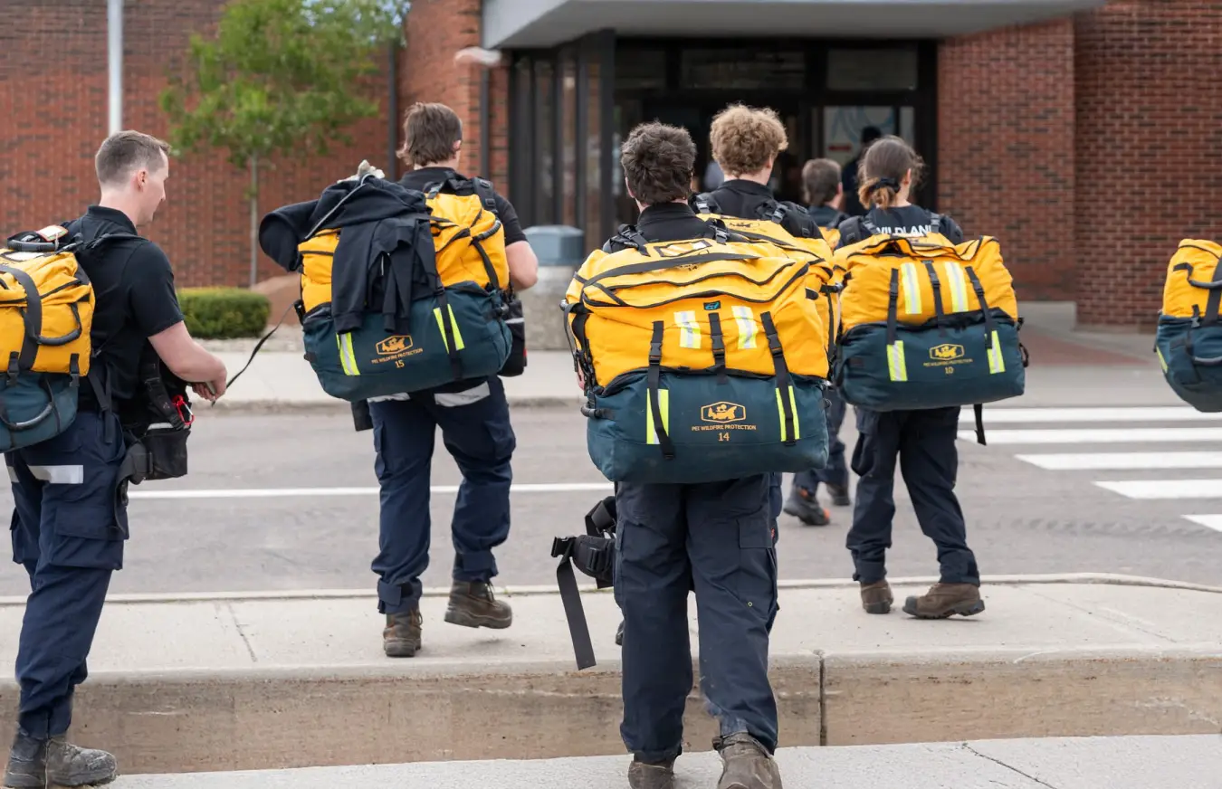 Wildfire response staff wearing protective gear standing in forested terrain
